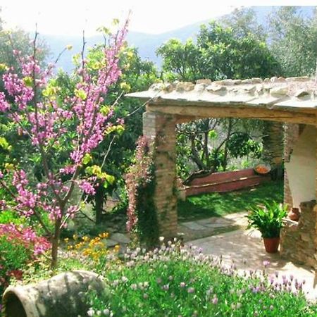 Mountain House Surrounded By Nature Bayacas ภายนอก รูปภาพ