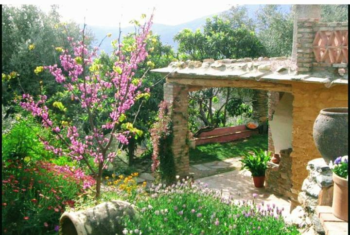 Mountain House Surrounded By Nature Bayacas ภายนอก รูปภาพ
